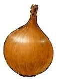 Clip Art Onion