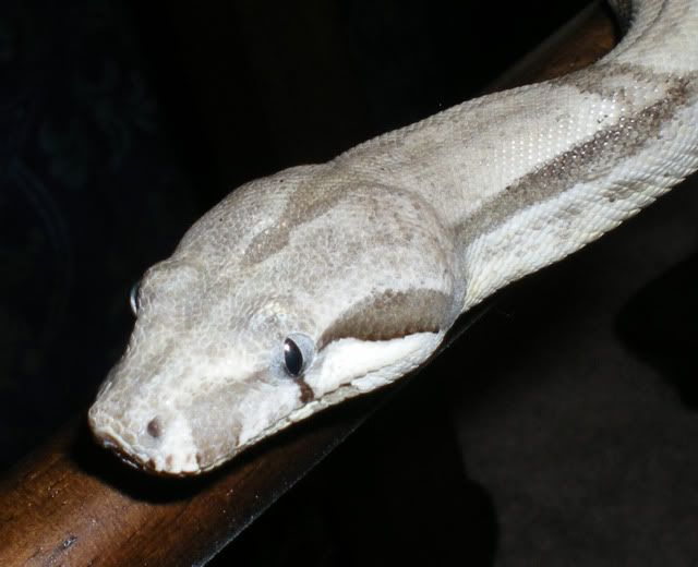 043_edited-1.jpg