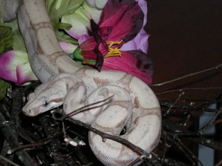 DSCN0462.jpg