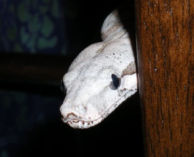 034_edited-1.jpg