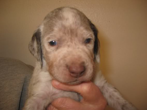 Week20Three20Male20B.jpg