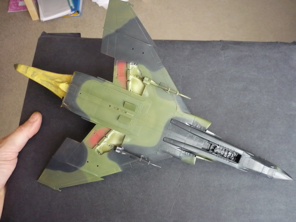 P1000229_resize.jpg