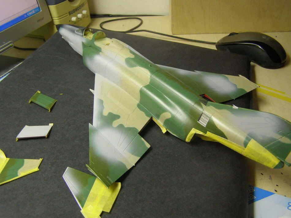 P1010006_resize.jpg