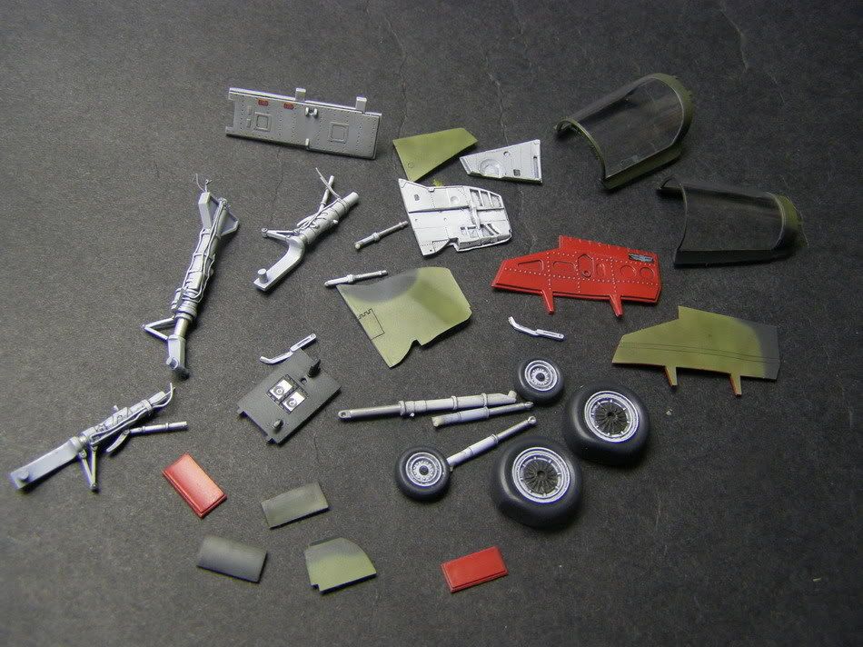 P1110006_resize.jpg