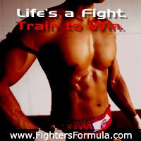 Fighters Formula