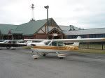 Yellowbird and one of her siblings at Lancaster