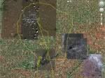 GPS flight track in Google Earth