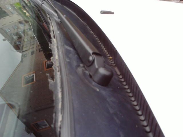 PICT0073.jpg
