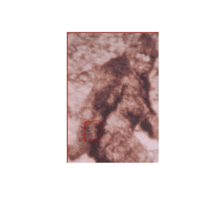 9e7cae24.gif