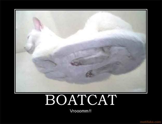 boatcat.jpg