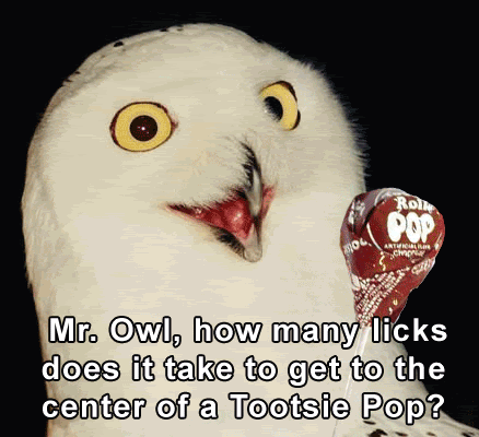 how many licks