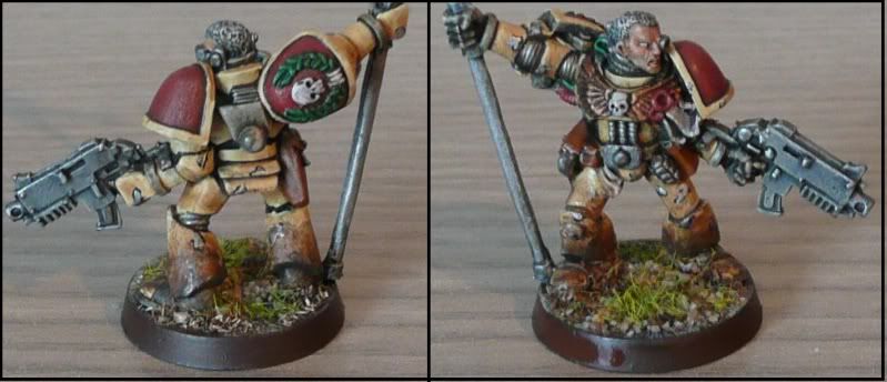 testmarine bobpanda 2 the crusaders