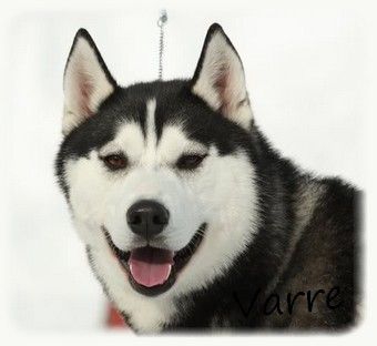 Kuva
