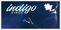 Indigo Trader Indigo Trader