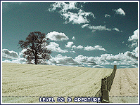Level 01 Level 02