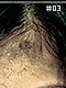 Unfair 03 Unfair 03