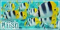 Fish Fish