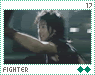 Fighter 17 Fighter 17