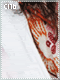 Cinderella Puzzle 16 Cinderella Puzzle 16