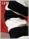 Leader Puzzle 16 Leader Puzzle 16