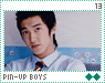 Pin-up Boys 13 Pin-up Boys 13