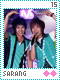 Sarang 15 Sarang 15