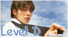 Level D Level D
