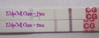  photo 12dp3dt002a.jpg