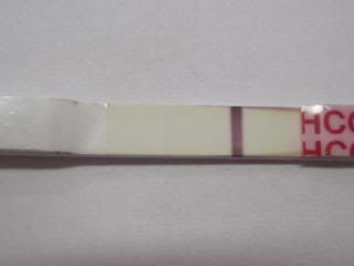 6dp3dt 1pm photo IVF2March2013.jpg