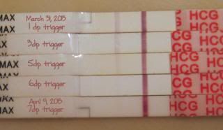  photo IVF2March2013020a.jpg