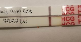  photo IVF2March2013025a.jpg