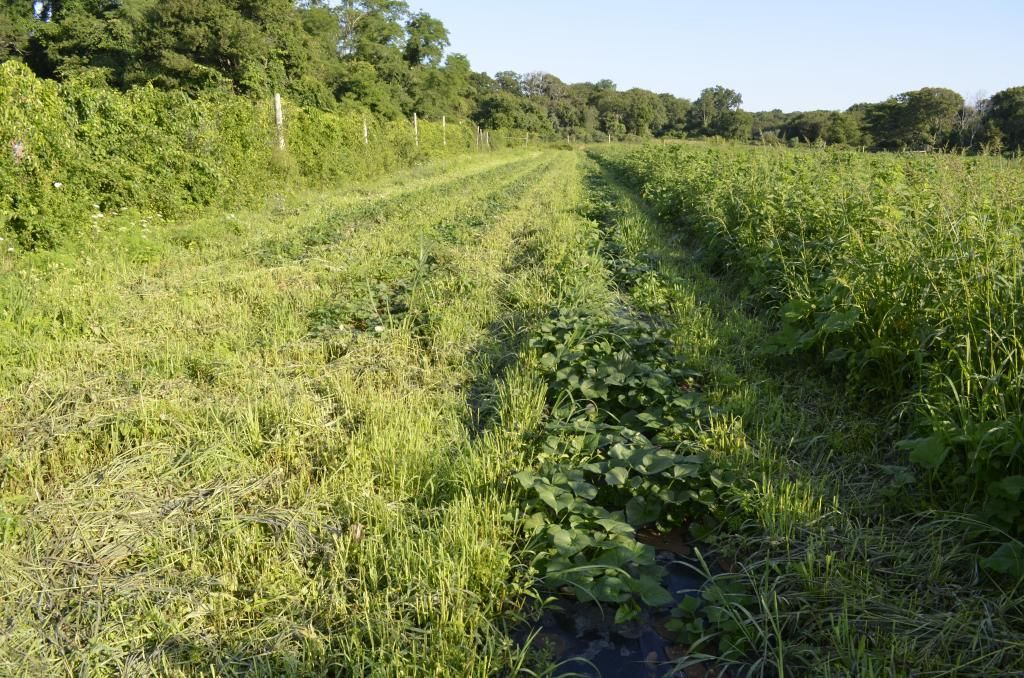  photo _DSC0014_zps7f2dbe27.jpg