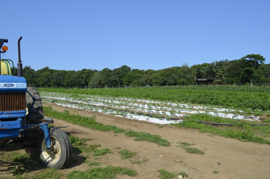  photo _DSC0020_zps986d07be.jpg