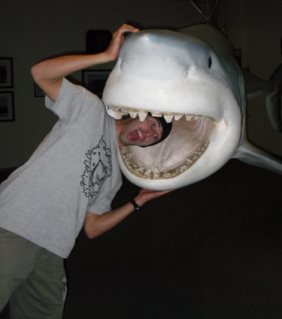 Photobucket