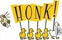 honk Pictures, Images and Photos