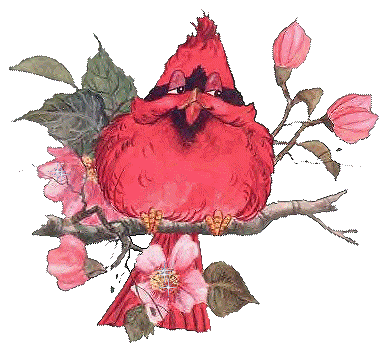 Cardinal33413.gif picture by patrymm