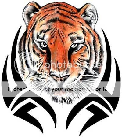 tiger-95.jpg
