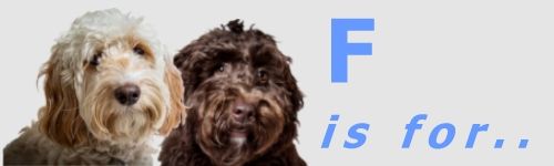 Furrtography