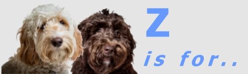 Z-end