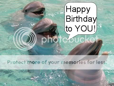 Dolphins Happy Birthday Comment Pictures, Images and Photos
