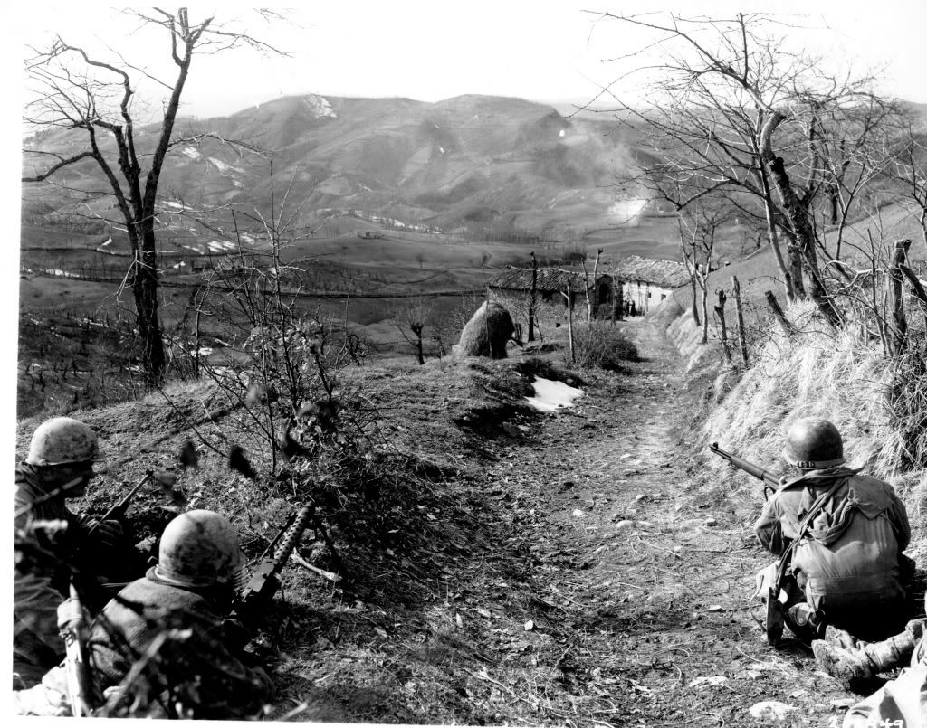 10th_Mountain_Division-covering_ass.jpg